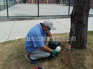 廣州中學防治紅火蟻
