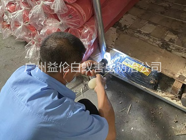 獅嶺倉(cāng)庫(kù)白蟻防治