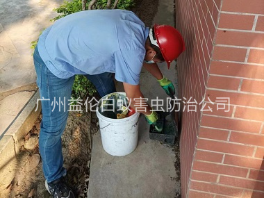 北興企業(yè)外圍施藥滅鼠