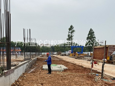 炭步地基白蟻預防工程